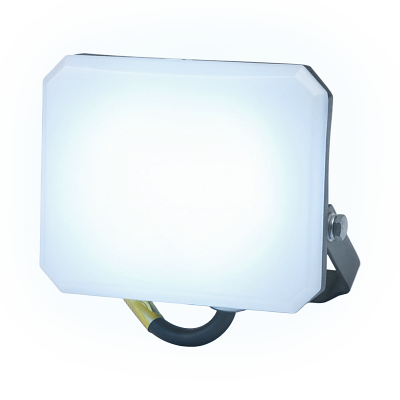 Прожектор светодиодный PFL-SA 30W OPAL 6500K IP65