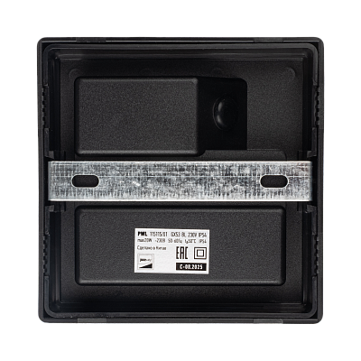 Светильник фасадный PWL 115115/01 GX53 BL 230V IP54