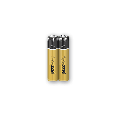 Батарейки LR03PA-2B