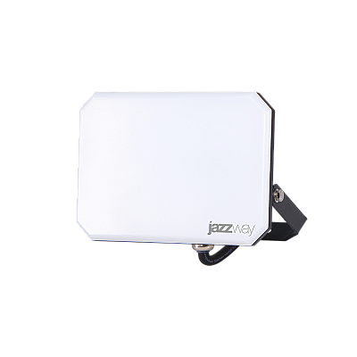 Прожектор светодиодный PFL-SA 50W OPAL